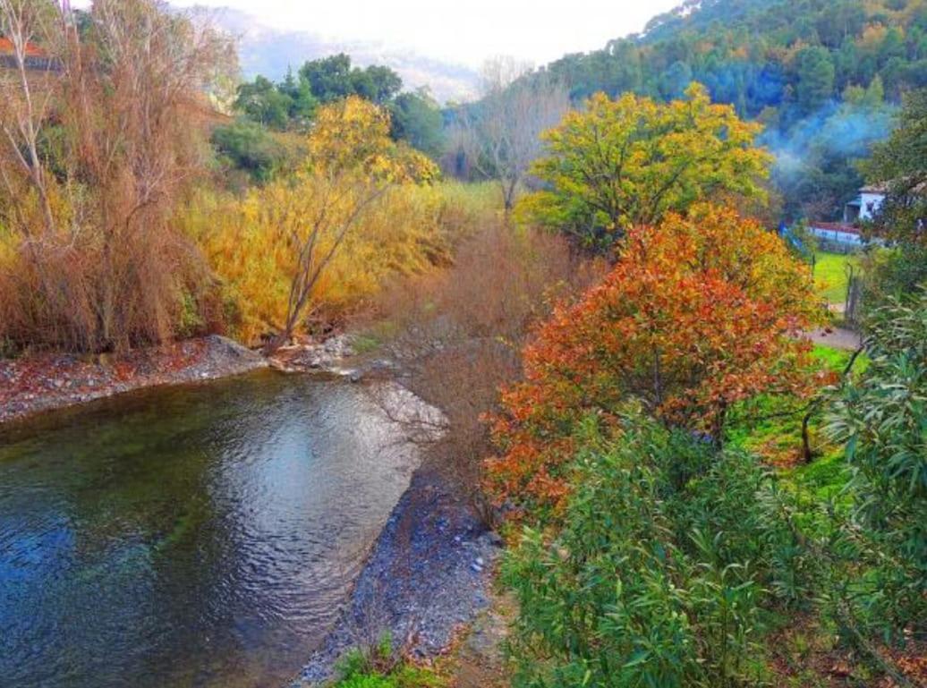 Casa La Yedra By Casaturistica Villa Benarrabá Dış mekan fotoğraf
