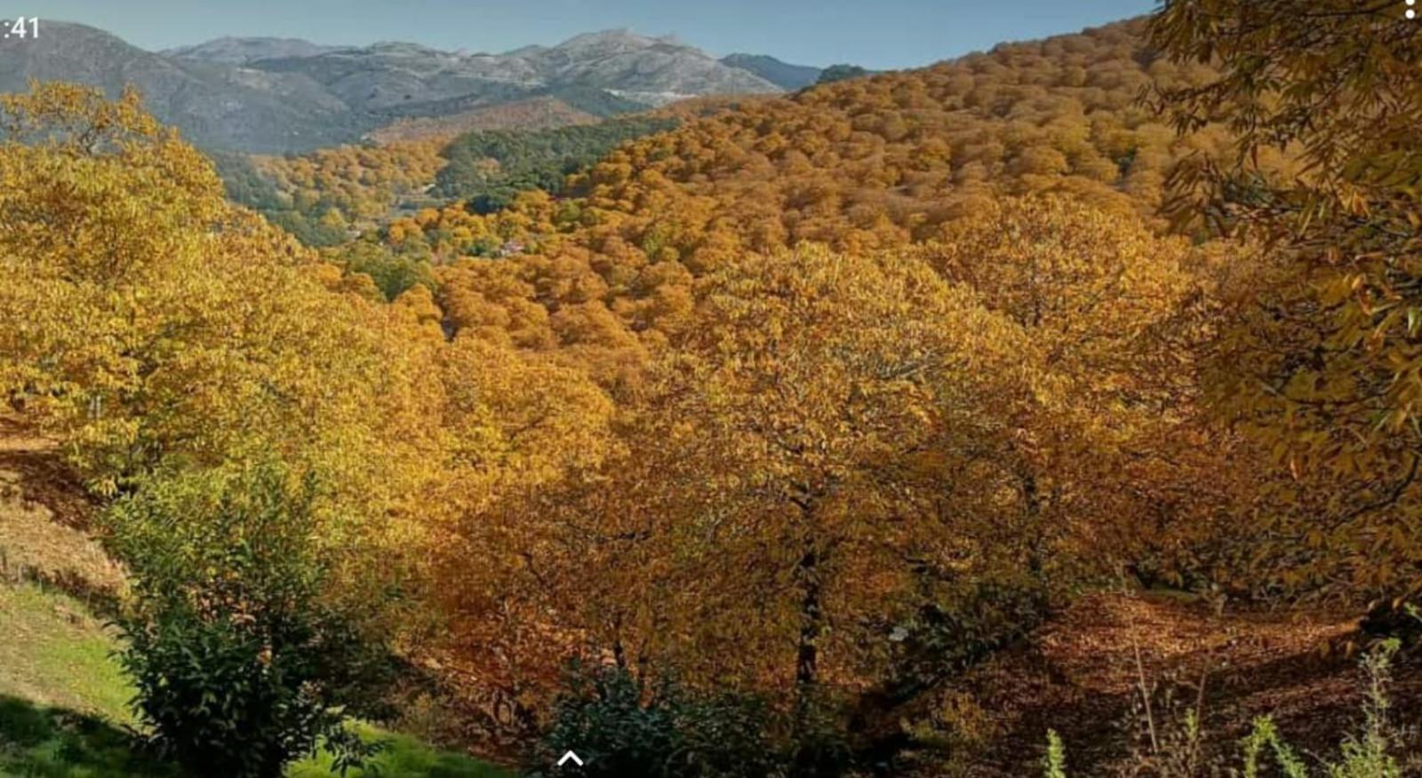 Casa La Yedra By Casaturistica Villa Benarrabá Dış mekan fotoğraf