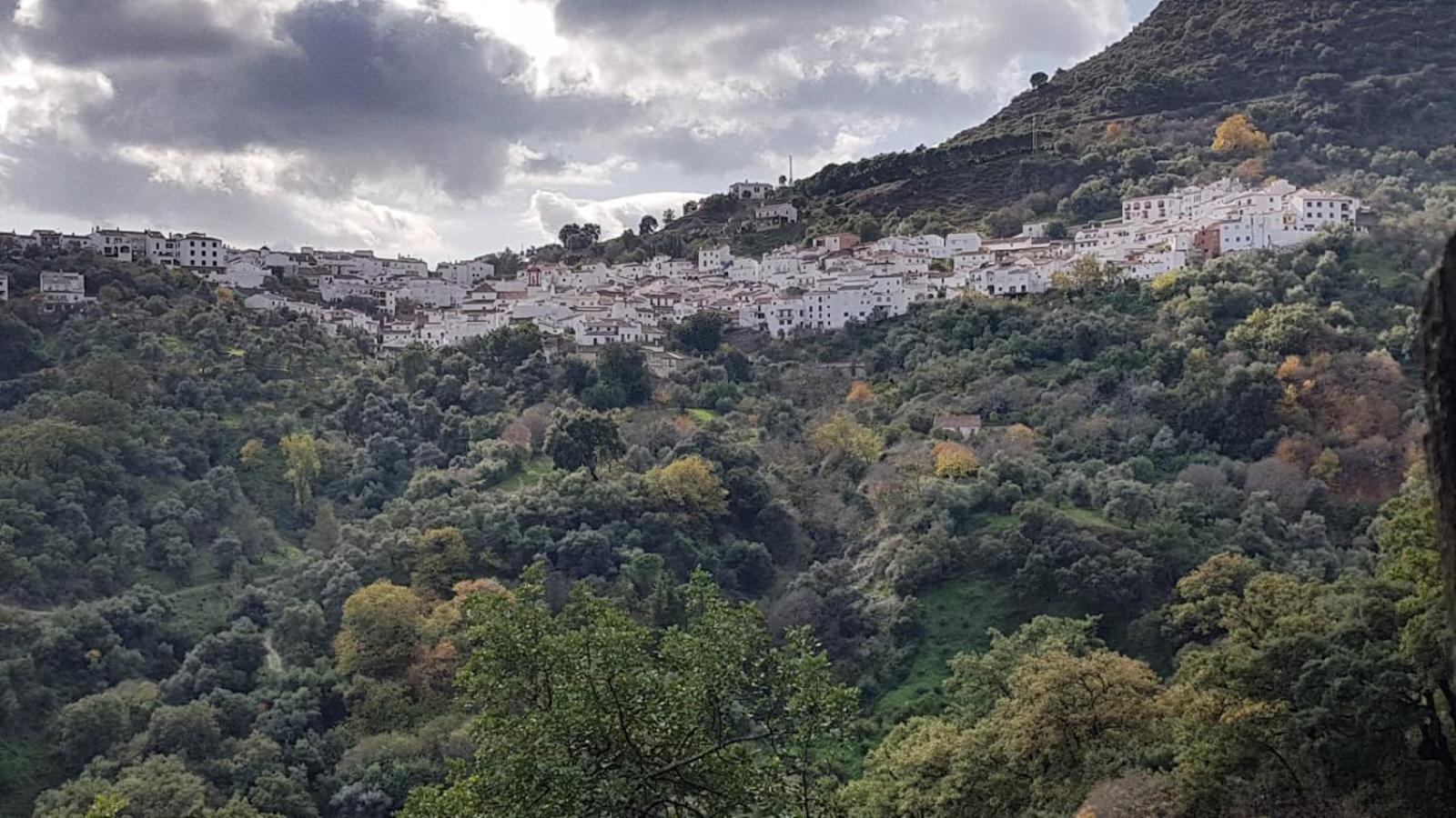 Casa La Yedra By Casaturistica Villa Benarrabá Dış mekan fotoğraf