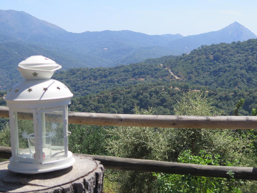 Casa La Yedra By Casaturistica Villa Benarrabá Dış mekan fotoğraf